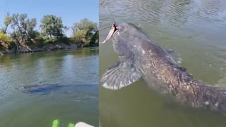 మహిళను కించపరిచిన డోమినోస్‌ !! రూ.3.7 లక్షలు చెల్లింపు !!