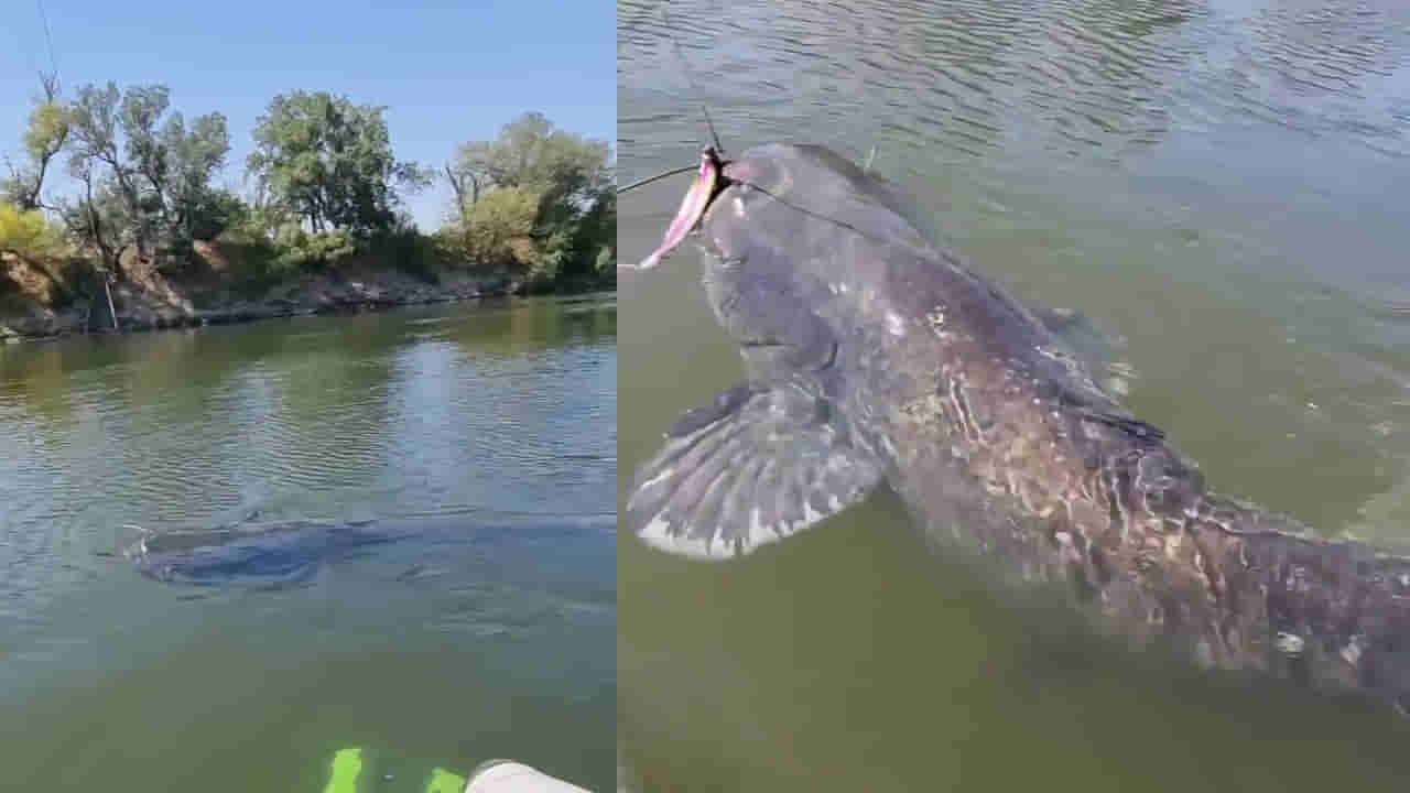 Viral Video: చేపల కోసం వేటకు వెళ్లాడు.. గాలానికి చిక్కింది చూసి ఖంగుతిన్నాడు.. చివరకు.!