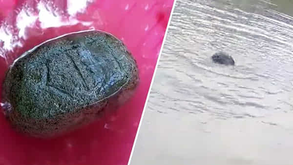 Floating Stone: నదిలో తేలుతూ వచ్చిన అరుదైన రాయి.. పూజలు చేస్తున్న స్థానిక ప్రజలు.. వీడియో వైరల్