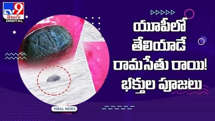 యూపీలో తేలియాడే రామసేతు రాయి !! భక్తుల పూజలు యూపీలో తేలియాడే రామసేతు రాయి !! భక్తుల పూజలు