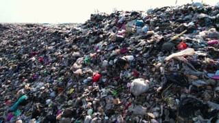 Viral: ప్రపంచంలోనే అత్యంత ఖరీదైన ‘చెత్త’ బ్యాగ్.. ధర వింటే మూర్ఛ పోవాల్సిందే..