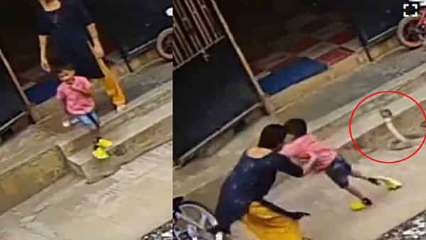 Viral Video: నాగుపాముపై కాలు పెట్టిన పిల్లాడు.. బుసలు కొడుతూ పైకి లేచిన విష సర్పం.. ఆ తర్వాత ఏమైందంటే?