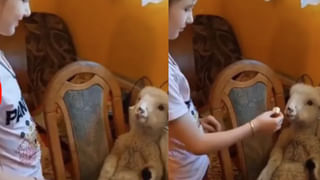 Alcohol: మద్యం అలవాటు పిల్లలపై కూడా ప్రభావం చూపుతుందట.. తాజా అధ్యయనంలో షాకింగ్ విషయాలు..