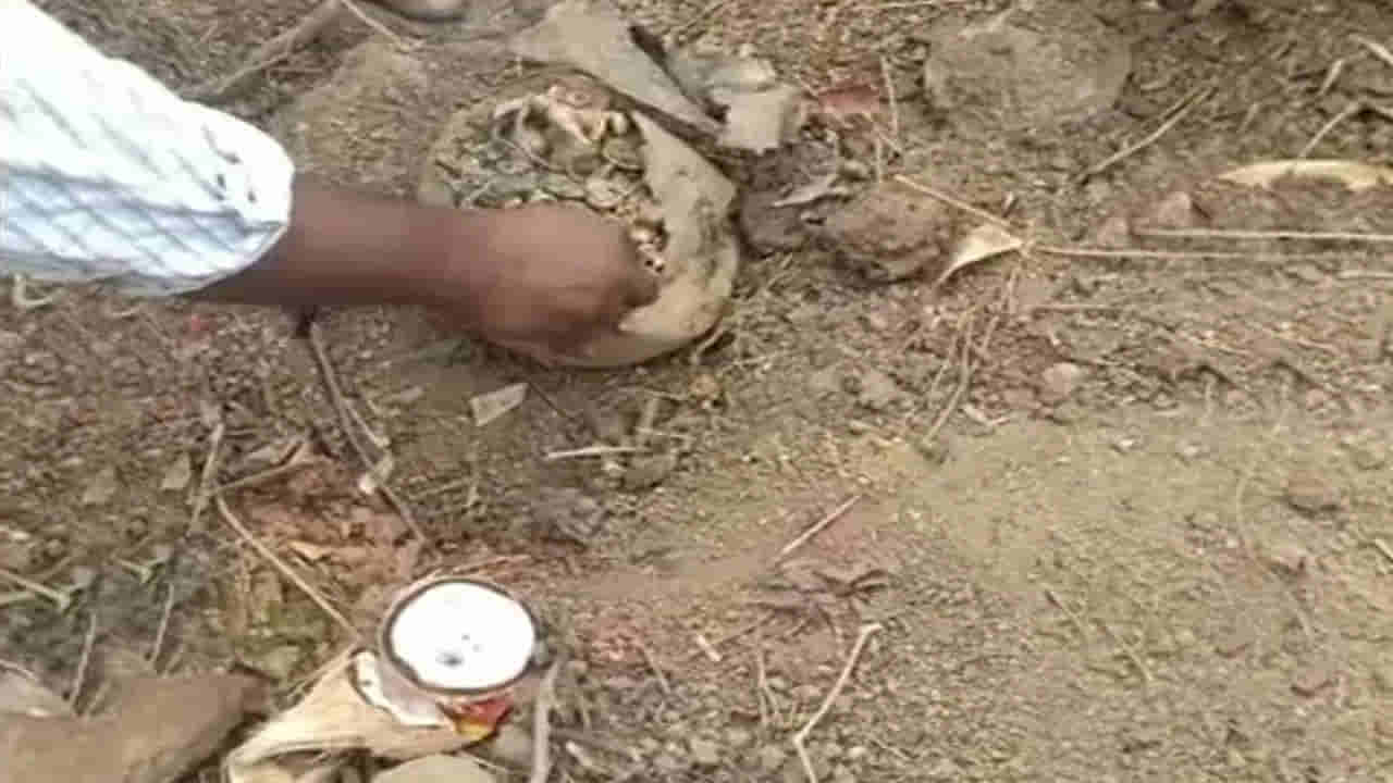 Viral: గుంతలు తవ్వుతుండగా వినిపించిన వింత శబ్దం.. ఏంటా అని చూడగా కళ్లు జిగేల్!