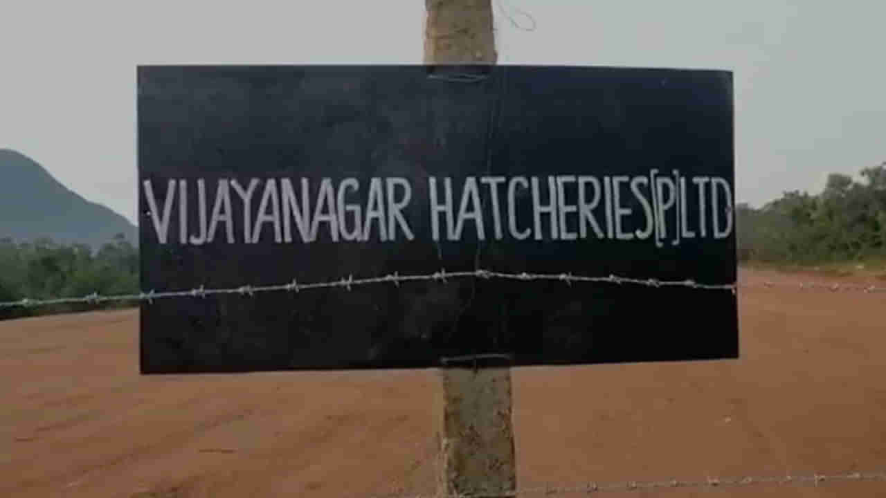 Andhra Pradesh: సిమెంట్ పోల్స్ పాతి.. రహదారికి అడ్డంగా కంచె వేసి.. నిర్వాసితుల ఆందోళన