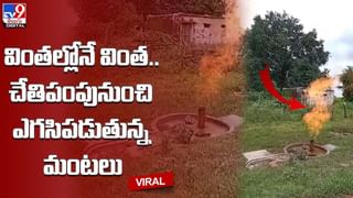 Viral Video: వెన్నలా మెరిసిపోతున్న అరుదైన కొండచిలువ..