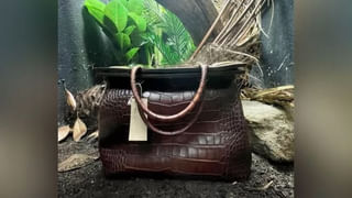 Viral Video: అట్లుంటది మనతోని.. ముళ్లపందికి చుక్కలు చూపించిన కోతి..