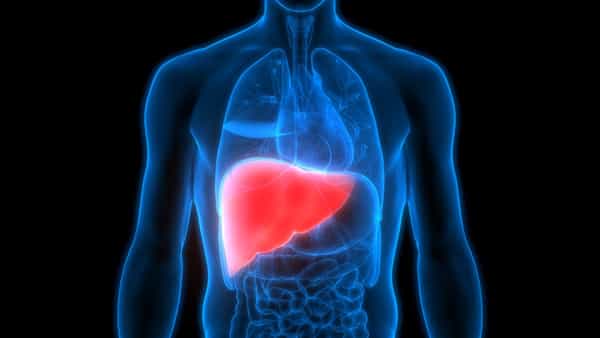 Healthy Liver: కాలేయం ఆరోగ్యంగా ఉండాలంటే.. ఈ దేశీ ఫుడ్స్ చాలా బెటర్.. అన్ని సమస్యలకు చెక్ పెట్టినట్లే..