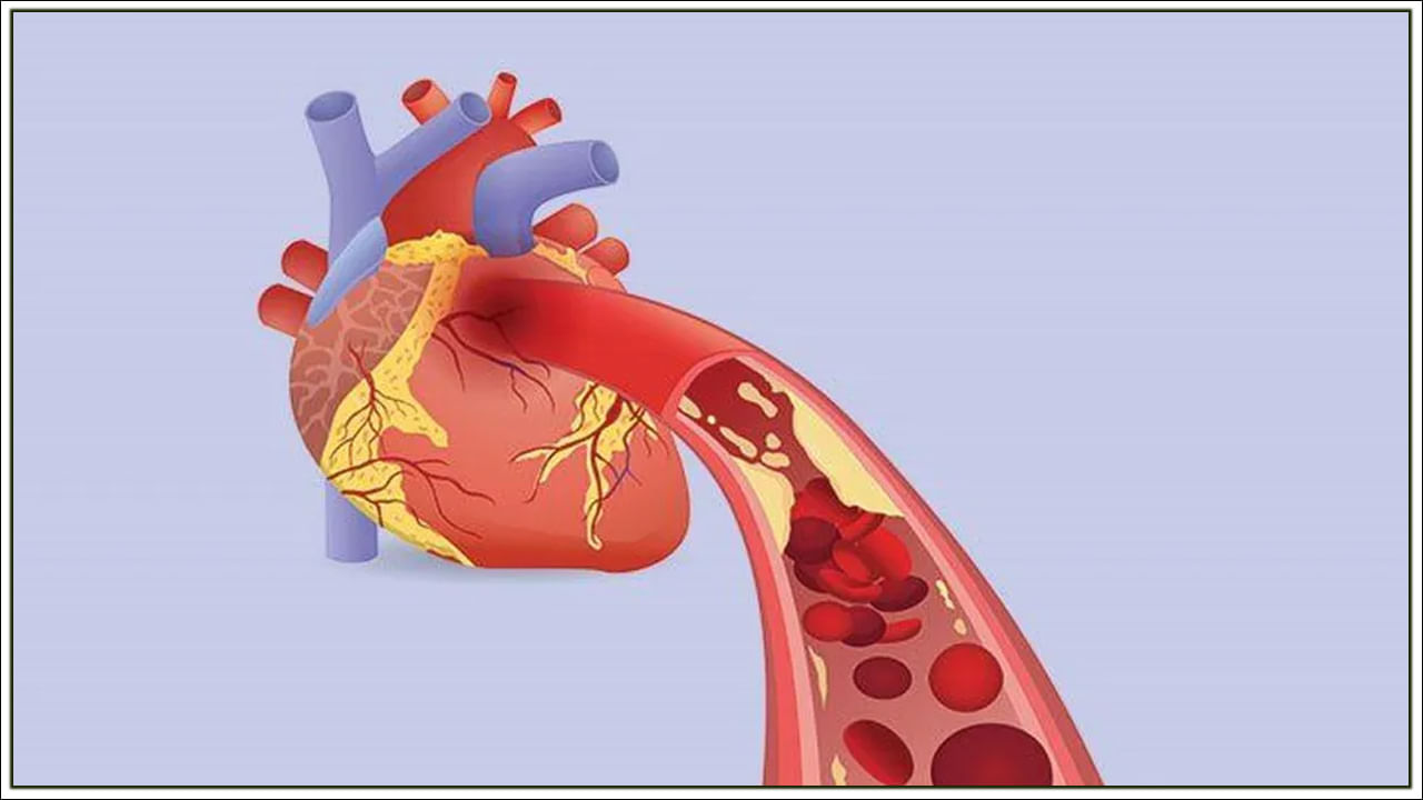 Heart Diseases: కరోనా వ్యాక్సిన్ తీసుకోవడం వల్ల గుండె జబ్బుల ముప్పు తగ్గుతుందా? అధ్యయనంలో కీలక విషయాలు వెల్లడి