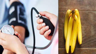 Insulin Plant Benefits: ఈ మొక్క ఆకులు షుగర్ బాధితులకు దివ్యౌషధం.. రోజు రెండు నమిలితే చాలు..