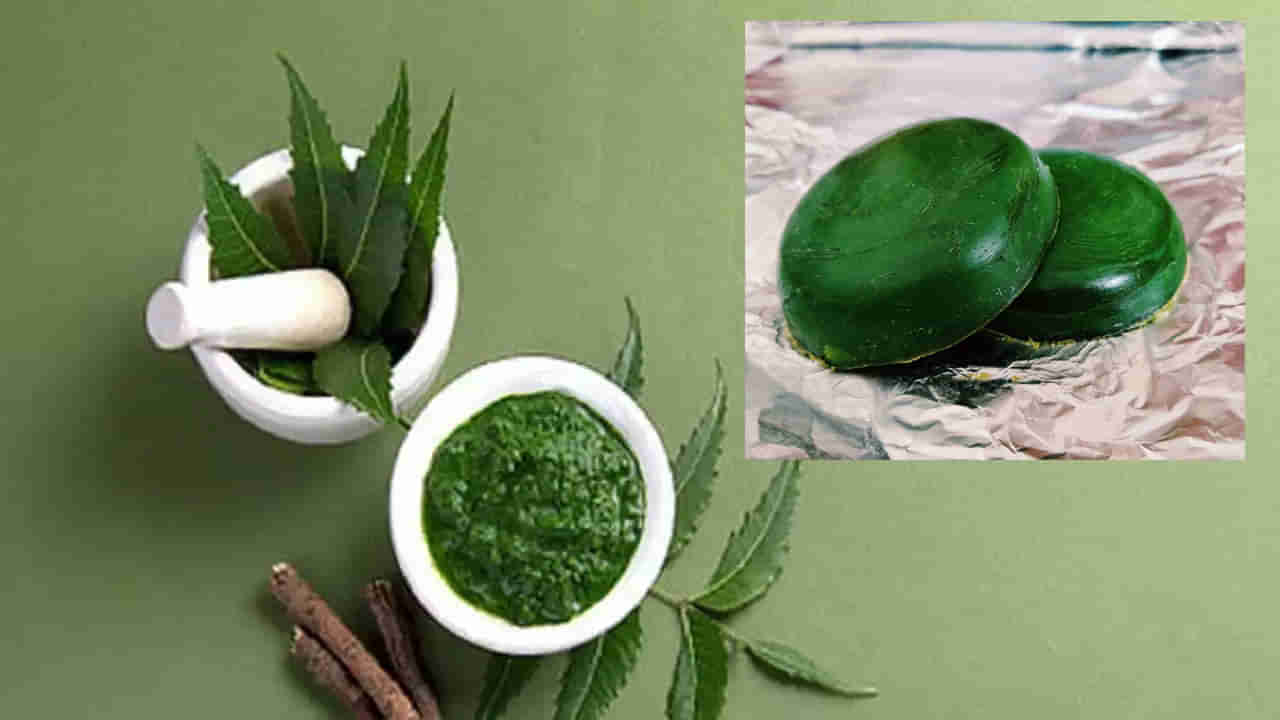 Neem Soap: ఇంట్లోనే వేప ఆకుతో సబ్బుని తయారుచేసుకోండి ఇలా.. వర్షాకాలంలో చర్మ సమస్యలకు చెక్ పెట్టండి..