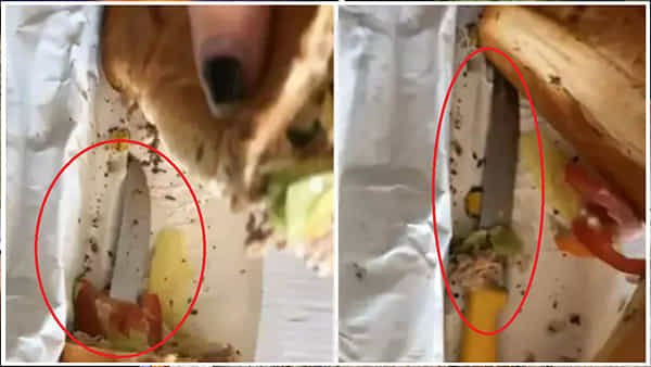 Viral: శాండ్విచ్ ఆర్డర్ పెట్టిన మహిళ.. తీరా ప్యాకెట్ విప్పి చూడగా.. దెబ్బకు ఫ్యూజులౌట్!