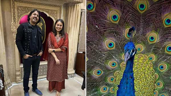 Tina Dabi IAS: దేశంలోనే అందమైన ఐఏఎస్ అధికారిణి.. మరోమారు సోషల్ మీడియాలో ఫోటోలతో హల్చల్