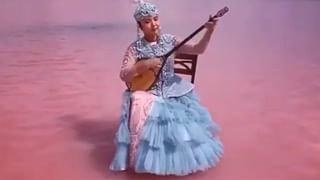 Pigion Backflips: బ్యాక్‌ ఫ్లిప్స్‌ చేస్తూ ఛాలెంజ్‌ విసురుతున్న పావురం.. వైరల్‌ అవుతున్న క్యూట్‌ వీడియో