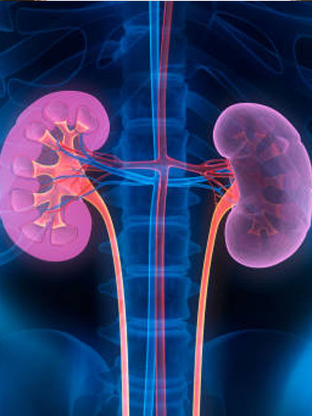 Kidney Health: కిడ్నీలో రాళ్లు వేధిస్తున్నాయా.. ఆపరేషన్ లేకుండా సమస్య నుంచి బయటపడాలా.. అయితే ఈ చిట్కాలు పాటించేయండి..