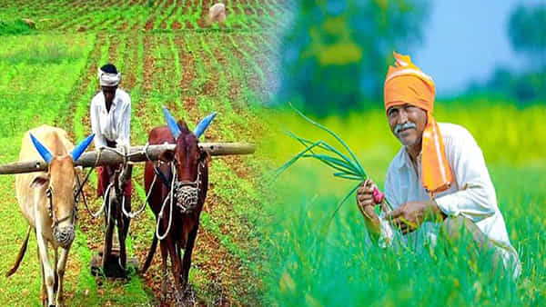 Kisan Yojana: రైతులకు ఆ రాష్ట్ర ప్రభుత్వం అదిరిపోయే శుభవార్త.. భారీ ప్రయోజనం