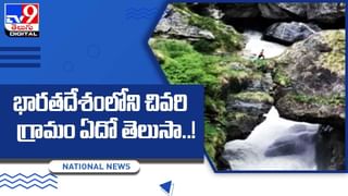 పాము ఉడత ఫైట్‌.. మధ్యలో పక్షి వచ్చి ఏం చేసిందో తెలుసా ??