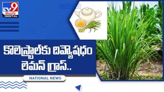 Bitter Gourd: కాకరకాయ తిన్న తర్వాత మర్చిపోయి కూడా వీటిని తీసుకోకండి.. అలా చేస్తే ఇబ్బందులే..