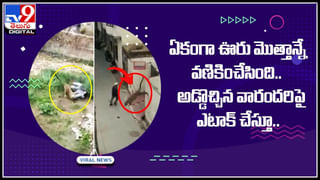 Viral Video: ఇంగ్లీష్‌లో బ్రాహ్మణుడు చెప్పిన సత్యనారాయణ కథ..అద్భుతమైన వీడియో వైరల్‌..