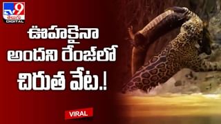 Viral Video: పాపం! హీరోయిజం చూపించాలనుకున్నాడు.. కుక్క గట్టిగానే బుద్ది చెప్పిందిగా..