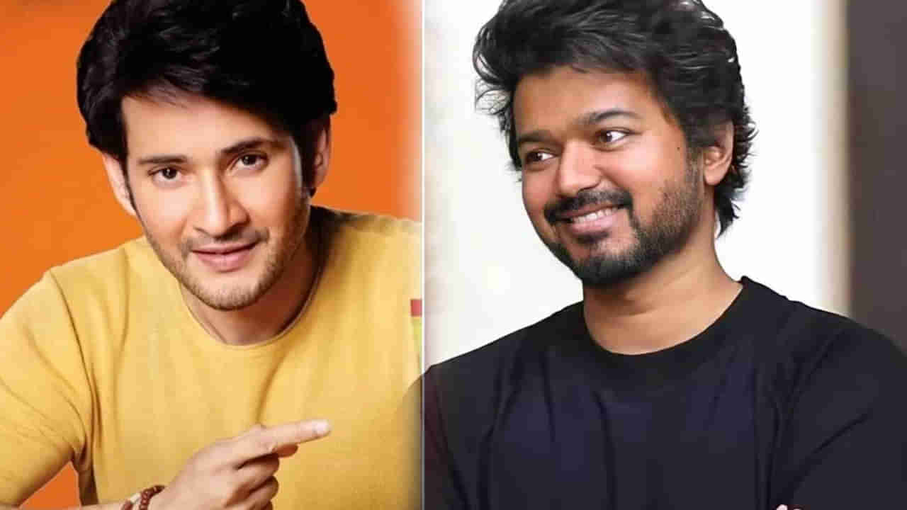 Vijay and Mahesh Babu: దళపతి కోసం రంగంలోకి సూపర్ స్టార్.. వారసుడులో మహేష్ ఇలా..