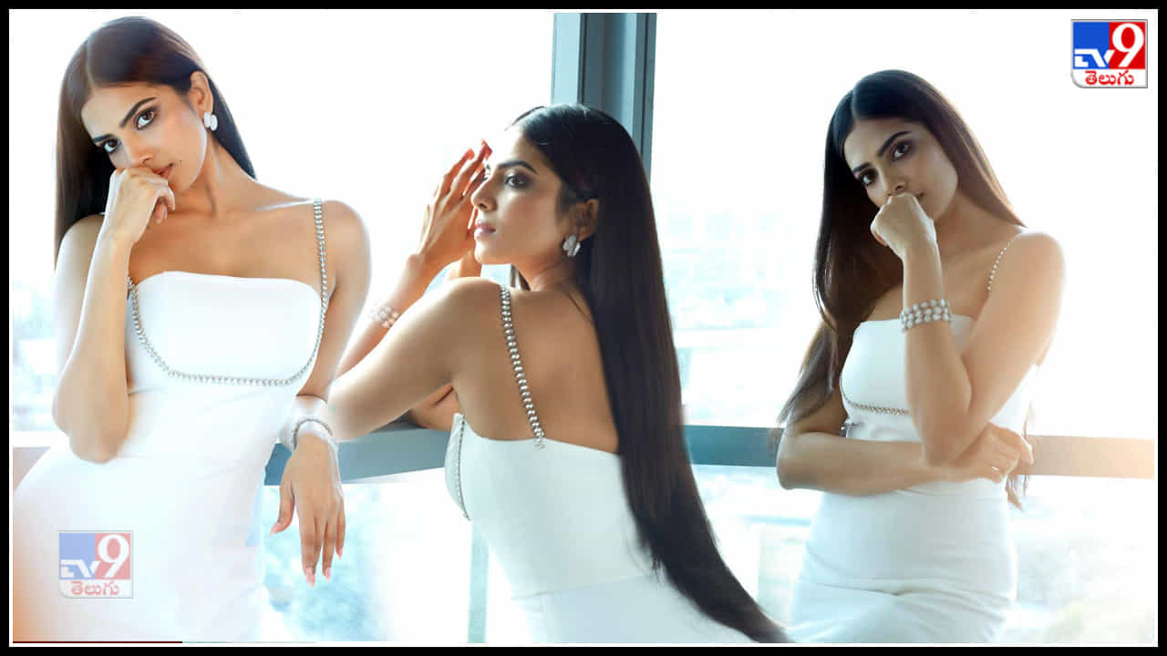 Malavika Mohanan: మాళవిక వంపుసొంపులు చూసి చిందులేస్తున్న అందాలు..