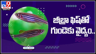 Lava flow: ఈ నదిలో ప్రవహించేది నీరు కాదు.. ఏంటో మీరే చూడండి.. మీ కళ్ళును మీరే నమ్మలేరు…