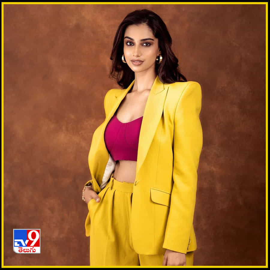 Meenakshi Chaudhary New Photos. Credit by:Meenakshi Chaudhary/Instagram