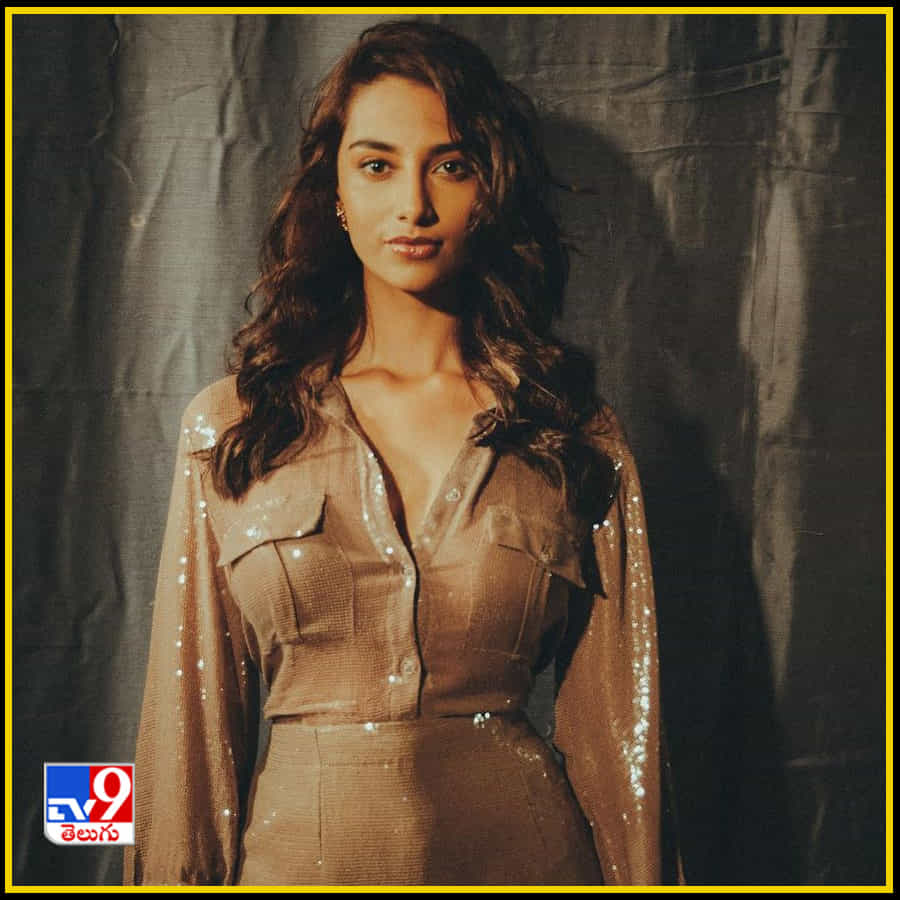 Meenakshi Chaudhary New Photos. Credit by:Meenakshi Chaudhary/Instagram