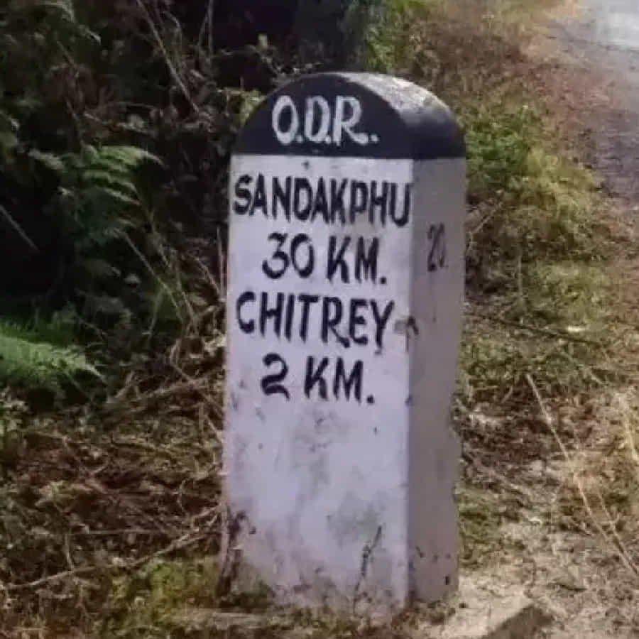 బ్లాక్, బ్లూ రంగులతో కూడిన మైలు రాయి కనిపిస్తే, అది పెద్ద నగరం, జిల్లా కేంద్రంలోకి ప్రవేశిస్తున్నారని అర్థం. ఈ రహదారి నిర్ధిష్ట జిల్లా లేదా నగరంలోకి ఎంటర్ అవుతుందని సూచిస్తుందన్నమాట. దీని నిర్వహణ అక్కడి పరిపాలనతో ముడిపడి ఉంటుంది.