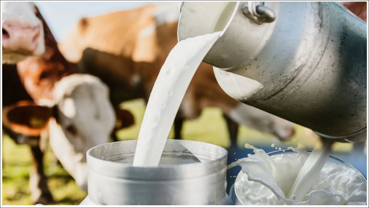 Milk Production: పాల ఉత్పత్తిలో ప్రపంచంలోనే అగ్రగామిగా నిలిచిన భారత్