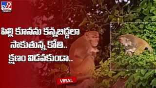 Digital TOP 9 NEWS: చనిపోతానని తెలిసి.శరీరంపై ఈకలు పేర్చుకున్నాడు ! | అంబులెన్సు డోర్లు తెరుచుకోక