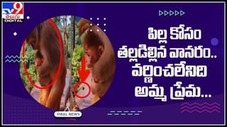 Viral Video: నడిరోడ్డుపై మామను చెప్పుతో చితకబాదిన కోడలు.. సాయం చేసిన తండ్రి, అన్న