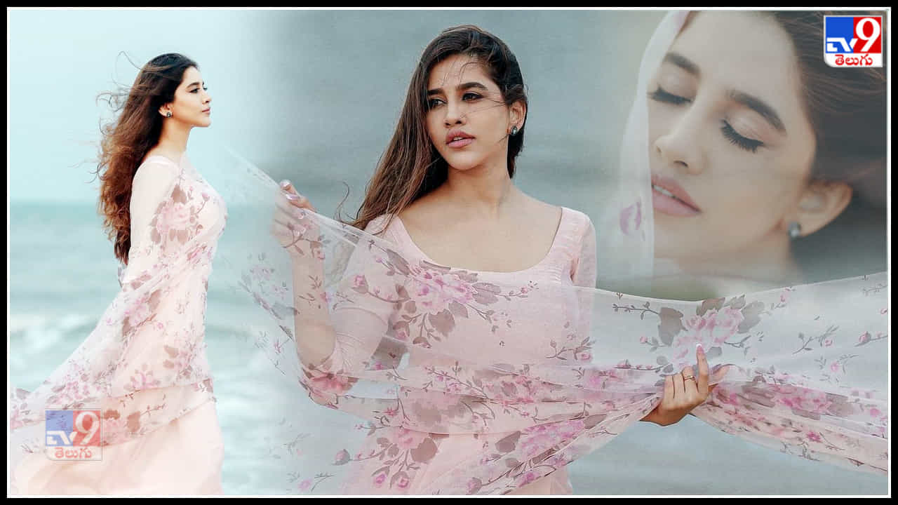 Nabha Natesh: సంద్రంలో హంసలా సవ్వడి చేస్తున్నట్టు అబ్బా అనిపించేలా నభా నటేష్ 