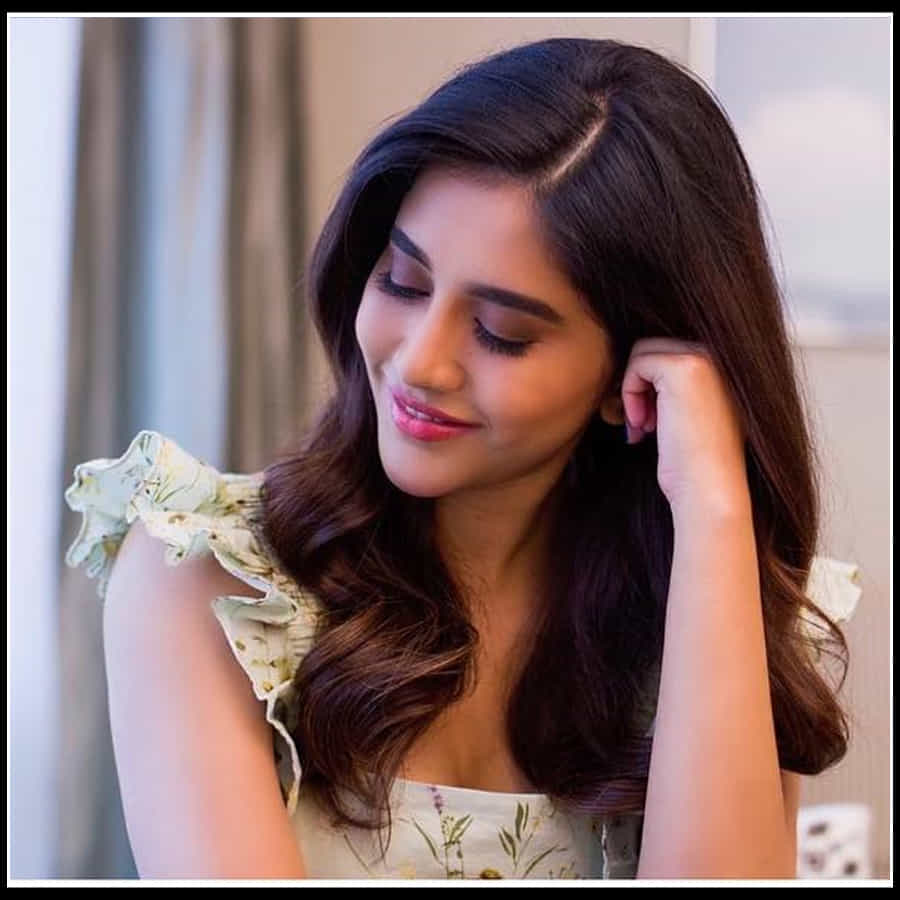 Nabha Natesh: సంద్రంలో హంసలా సవ్వడి చేస్తున్నట్టు అబ్బా అనిపించేలా నభా నటేష్ 