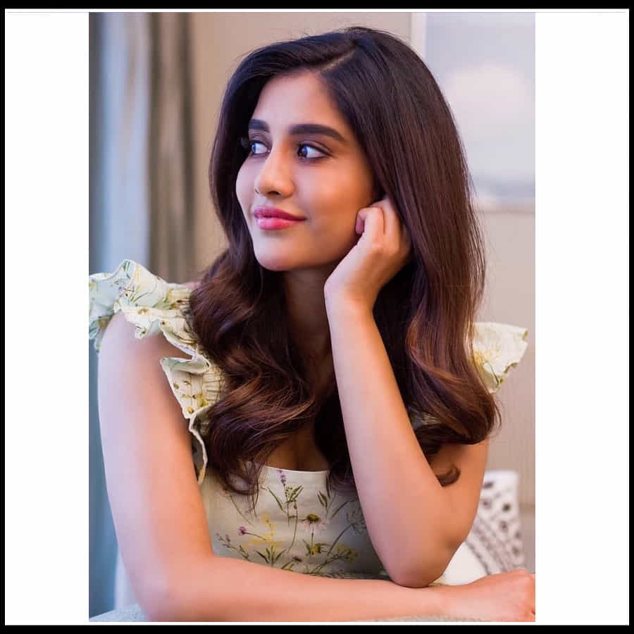 Nabha Natesh: సంద్రంలో హంసలా సవ్వడి చేస్తున్నట్టు అబ్బా అనిపించేలా నభా నటేష్ 