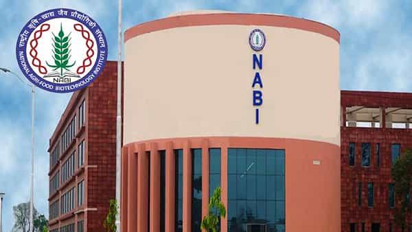 NABI Recruitment 2022: బీటెక్ నిరుద్యోగులకు బంపరాఫర్! నెలకు లక్షకుపైగా జీతంతో నేషనల్ అగ్రి ఫుడ్ బయోటెక్నాలజీ ఇన్స్టిట్యూట్లో ఉద్యోగాలు..