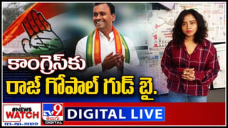 Viral Video: బాహుబలి యుద్ధాన్ని మించిన కోతుల యుద్ధం.. వందలాది వానరాలు ఒకేసారిగా..!