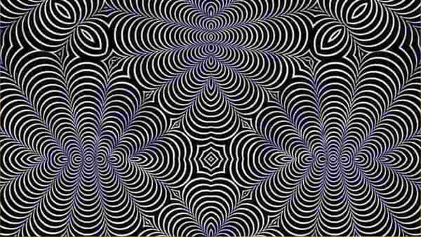 Optical Illusion: ఈ పిక్ లో దాగున్న పిల్లి, దుప్పి .. కనిపెడితే మీరు జీనియస్.. ఎందుకంటే 90 శాతం మంది ఫెయిల్