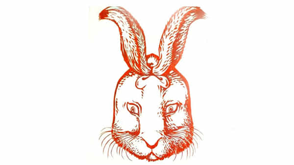 Optical illusion: ఎలాంటి సందేహం లేకుండా ఈ ఫొటోలో ఉంది కుందేలు అనుకుంటున్నారు కదూ.? అయితే మీరు పొరబడినట్లే..