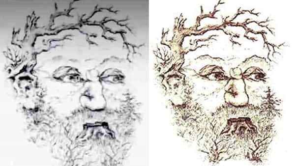 Optical Illusion: ఒక వ్యక్తిలో ఎండిన చెట్లు, అడవులు, పర్వతాల్లో దాగున్న అమ్మాయిని కనిపెడితే మీరు జీనియస్..