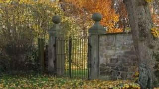 Viral Video: జాంటీ రోడ్స్ ని మించిపోయిందిగా ఈ కుక్క.. క్యాచ్ పట్టిన తీరు చూస్తే ఫిదాకాని వారుంటారా..