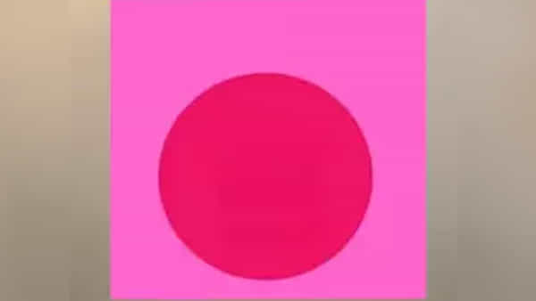 Optical illusion: ఓపెన్ ఛాలెంజ్.. పింక్ సర్కిల్లో అద్భుతం దాగి ఉంది.. కనిపెడితే ఖతర్నాకే..