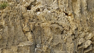 Optical Illusion: ఈ ఫోటోలో మీరేం మొదటిగా చూస్తారో.. అదే మీ రిలేషన్‌షిప్‌లో కోరుకుంటారు.!