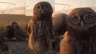 Viral video: వాటే ఐడియా సర్ జీ.. ఈ లాకర్‏లో డబ్బు దాచుకోవచ్చు.. చివరకు తినొచ్చు.. ఎలాగంటే..