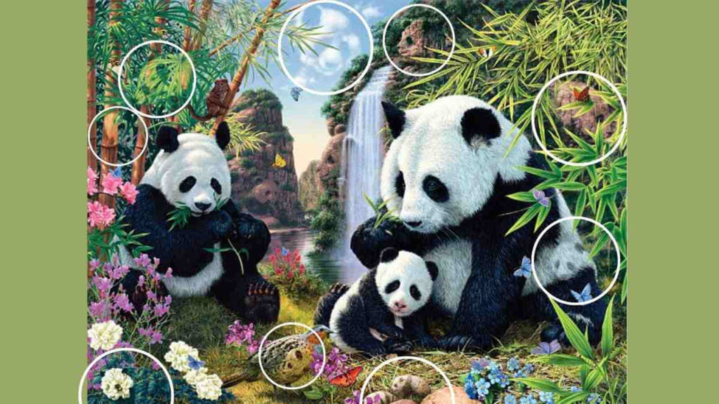 Pandas