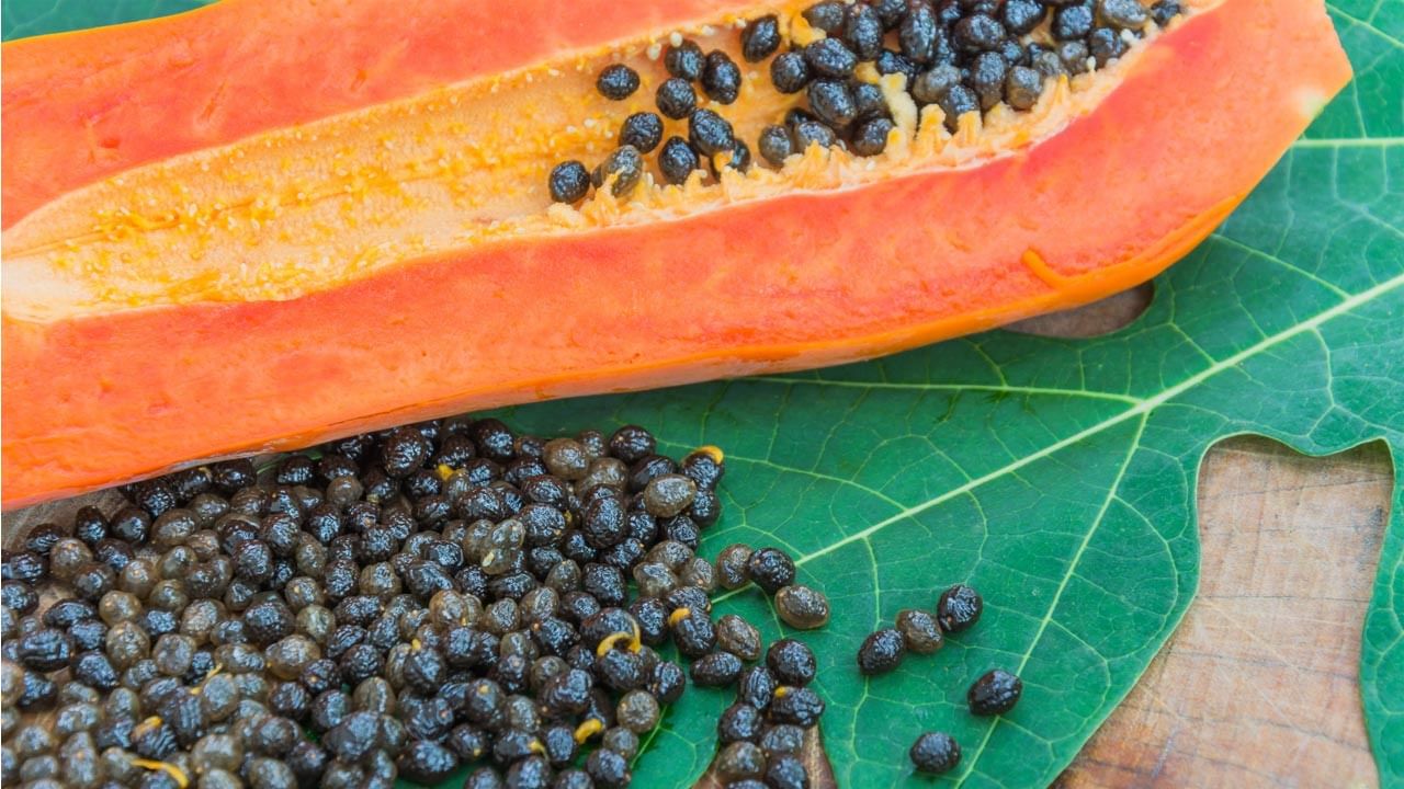 Papaya Seeds: బొప్పాయి మాత్రమే కాదు.. దాని గింజల్లో దాగివున్న ఆరోగ్య రహస్యాలు తెలిస్తే అస్సలు విడిచిపెట్టరు..!