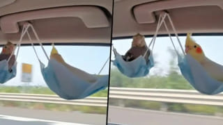 తాగినమైకంలో  పెద్దాయన వెరైటీ డ్యాన్స్‌ !! నెట్టింట వీడియో వైరల్