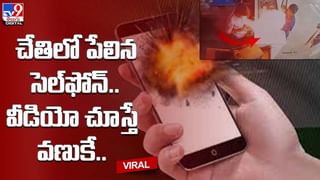 Viral Video: ఏనుగు మంచి మనసు.. వీడియో చూస్తే మీరు అదే అంటారు