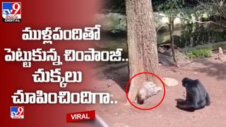 Viral Video: మెట్రో రైల్లో సీటు కోసం కోట్లాడుకున్న అమ్మాయిలు.. కట్ చేస్తే..